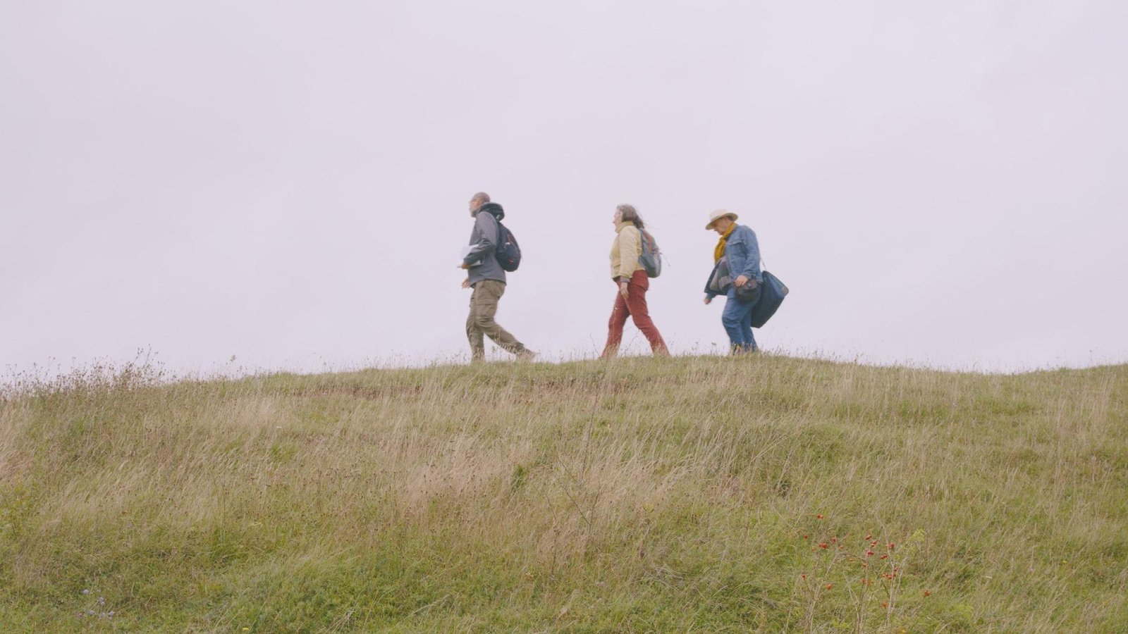 AMHP – Case Study – Charity Video Production