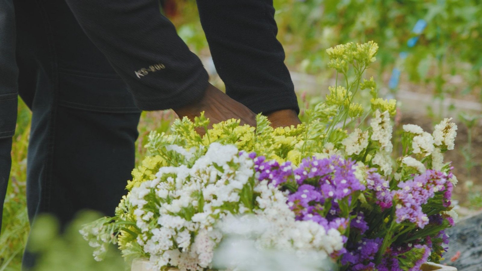 AMHP – Case Study – Charity Video Production